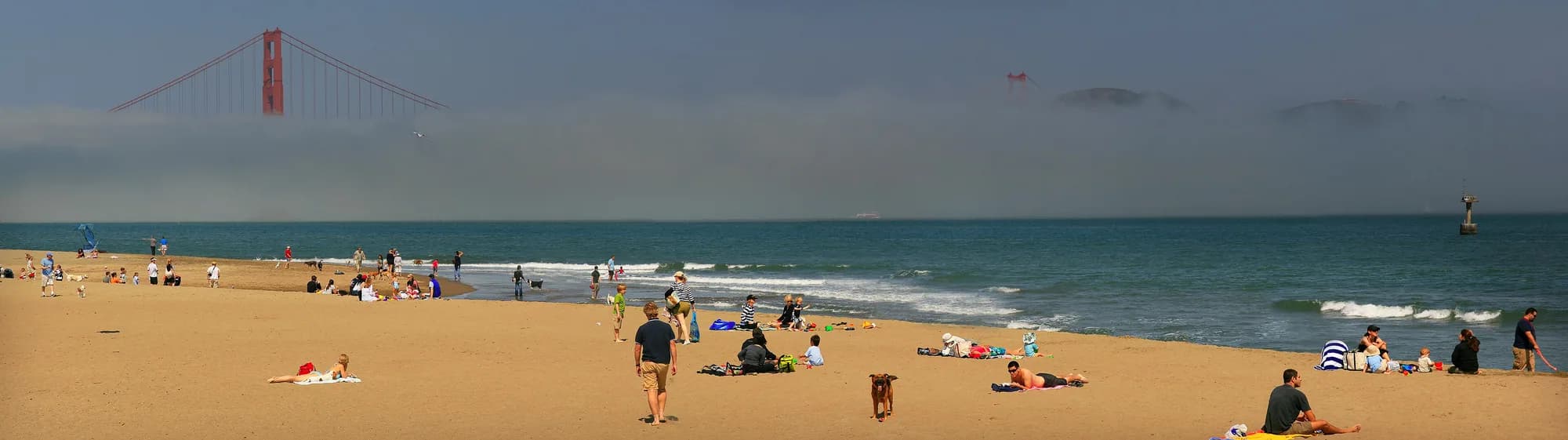 Golden Gate Bridge towers rising above a low fog bank, seen from the beach at Crissy Field